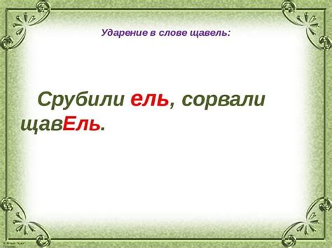 История ударения в слове "щавель"