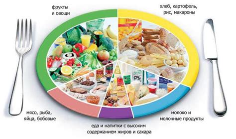 Источник полезных веществ для сбалансированного питания