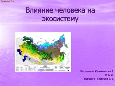 Исчезновение человечества и его влияние на экосистему