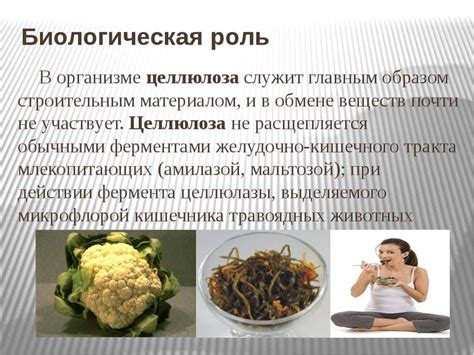Какова роль нитритов в организме мужчин