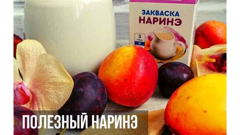 Как выбрать высококачественную закваску Наринэ для приготовления вкусного кефира