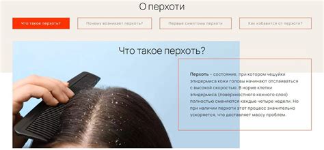 Как выбрать подходящий продукт для борьбы с проблемой перхоти на коже головы
