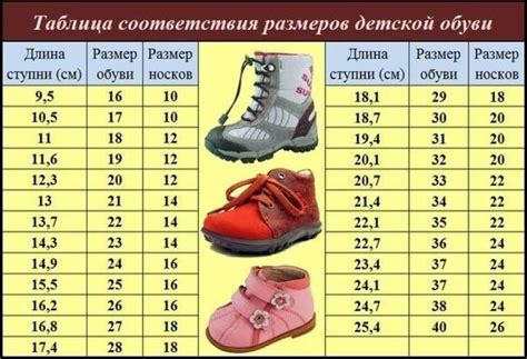 Как использовать полученные данные при выборе обуви и подборе размера