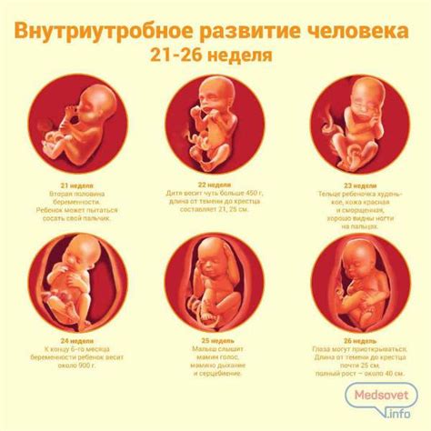 Как малыш проявляет свою активность в утробе мамы