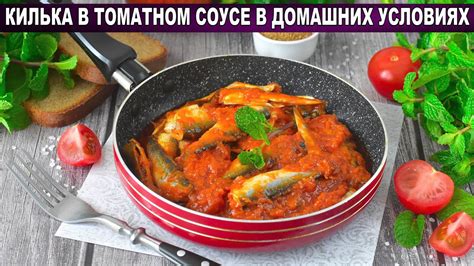 Как правильно подавать собакам кильку с томатным соусом: 7 полезных рекомендаций