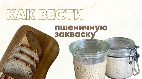Как сохранить и повторно использовать закваску "Наринэ"