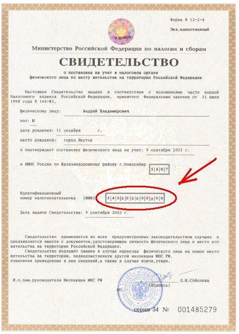 Как функционирует система идентификационного номера человека (ИНН)