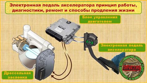 Как функционирует электронная педаль газа в зависимости от режимов движения