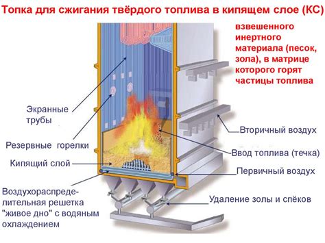 Как эффективно использовать остатки после сжигания твёрдого топлива в кормлении домашним птицам