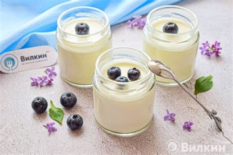 Кефирное искусство: экспериментируйте с закваской Наринэ
