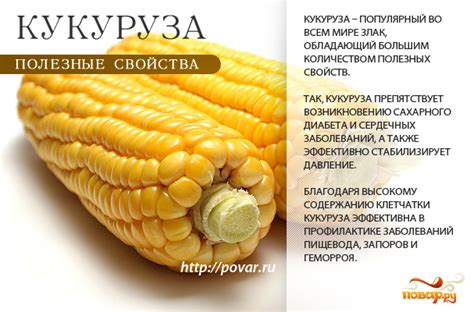 Кукуруза вечером: польза для сердца и сосудов