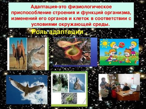 Культура в условиях изменений окружающей среды: приспособление и адаптация