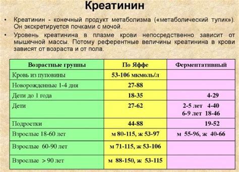 Лечение и профилактика низкого уровня креатинина