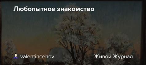 Любопытное знакомство