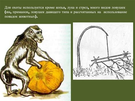 Мастерство применения ловушек и приманок: секреты охоты на скрытого убийцу