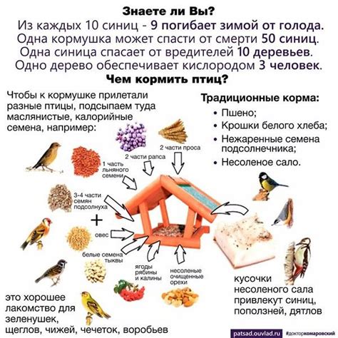 Материалы для создания уютных мест гнездежития птиц