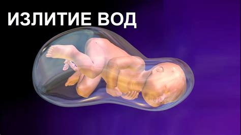 Медицинские советы и практика при необычном количестве околоплодных вод