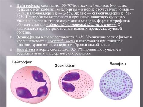 Методы диагностики и лечения пониженного уровня нейтрофилов
