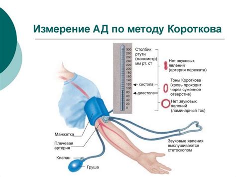 Методы уменьшения показателей на верхней стороне предплечья при проведении измерения давления