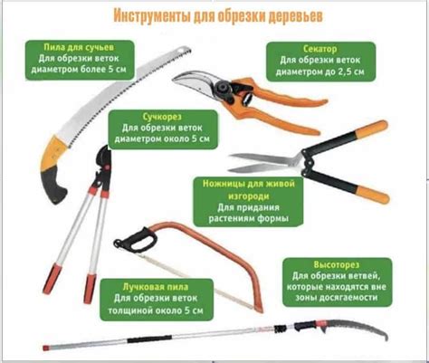 Механическое удаление тигуана: инструменты и методы