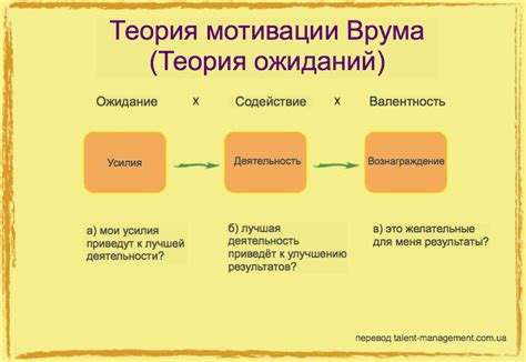 Мотивация и концепция автора