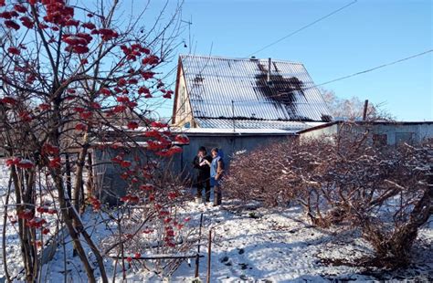 Нарушение правил эксплуатации и образование смолы: почему это важно знать