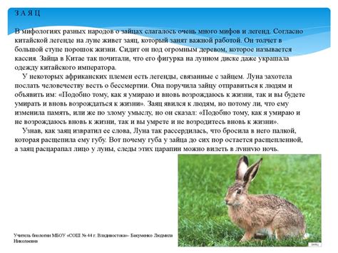 Насколько достоверны мифы и легенды о духовном переживании изменения в кошку
