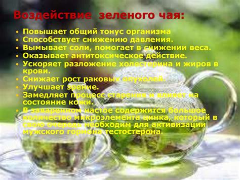 Натуральный состав зеленого чая и его воздействие на отдых