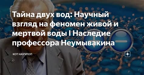 Научный взгляд на представления и мнения