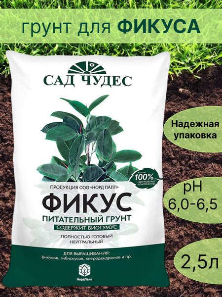 Нейтральный грунт для растений: понятие и особенности