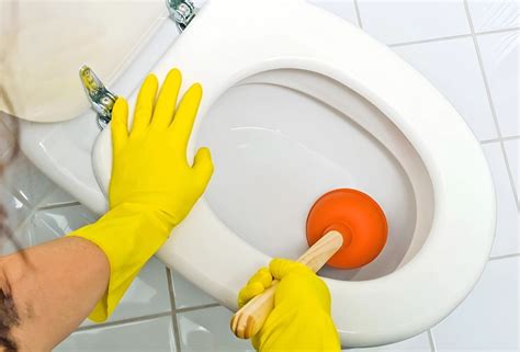 Необычные компоненты для устранения отложений в унитазе