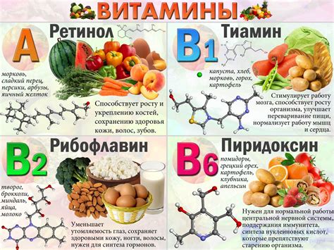 Неотъемлемая роль витаминов и минералов в процессе оптимального роста организма