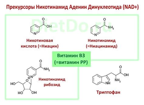 Никотинамид: свойства и использование