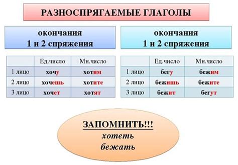 Нюансы и особенности употребления глагола "ездить" в русском языке