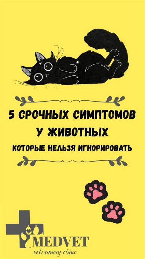 Обратите внимание на сигналы вашего питомца