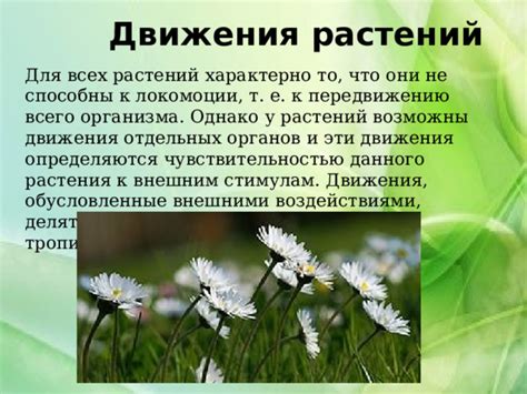 Обсуждаем возможные проблемы с внешними воздействиями на растение