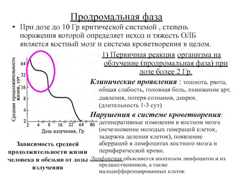 Общая слабость организма: