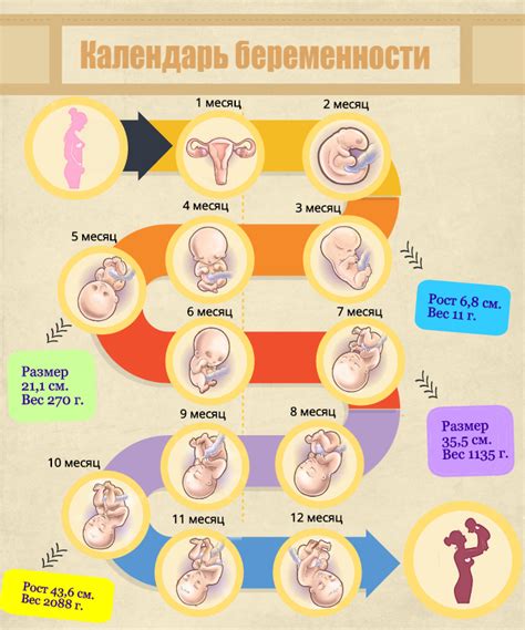 Ограничения при беременности и после родов: что необходимо знать