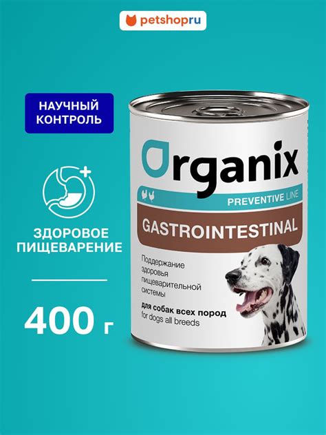 Опасность для здоровья и работа пищеварительной системы питомца
