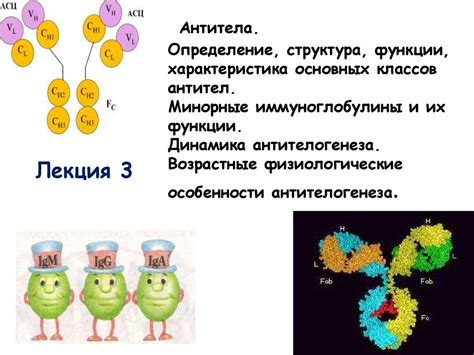 Определение, структура и функции