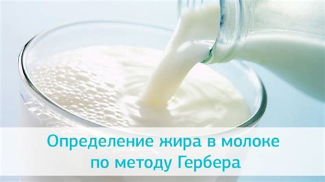 Определение идеального содержания жира в сметане