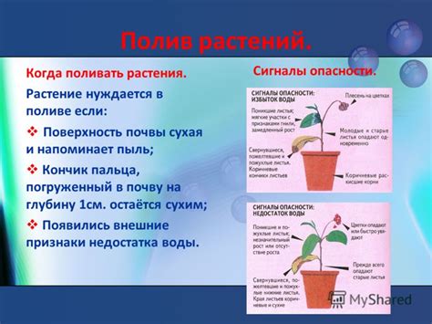 Определение потребности в поливе почвы
