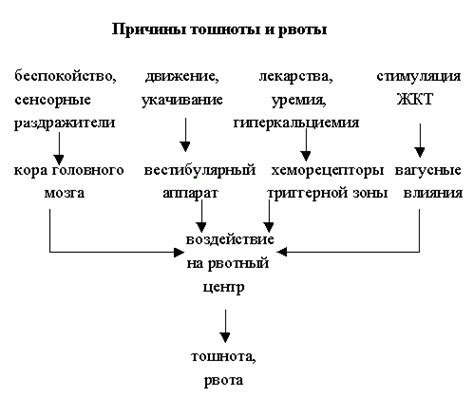 Определение причины тошноты при потреблении чая: выявление симптомов