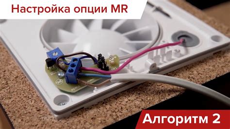 Оптимальная настройка вентиляторов: советы и рекомендации
