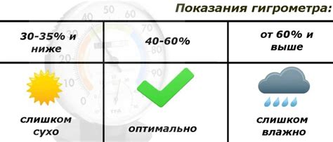 Оптимальная температура и влажность для сохранения свежести кабачка