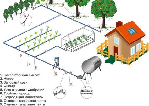 Оптимальное регулирование полива и освещения для успешного совместного выращивания