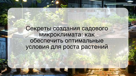 Оптимальные условия для успешного выращивания ликоподиев сахарозных