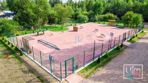 Организация места для дрессировки