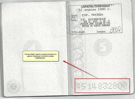 Организация работы в условиях периода листания паспорта и пребывания в отпуске после родов