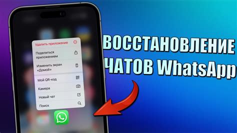 Освободите место на вашем iPhone, удалив предыдущие переписки в WhatsApp